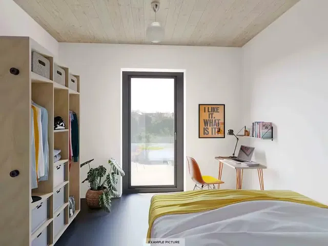 Küche; küchengeräte, holzboden, tageslicht, moderner stil