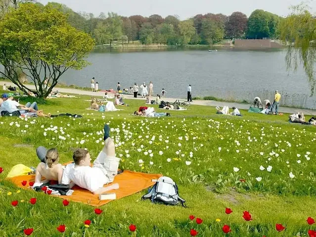 Küche; küchengeräte, holzboden, tageslicht, moderner stil