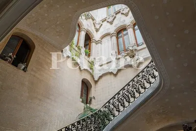 Küche; küchengeräte, holzboden, tageslicht, moderner stil