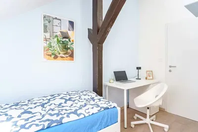 Кухня; кухненски уреди, дървен под, естествена светлина, модерен стил