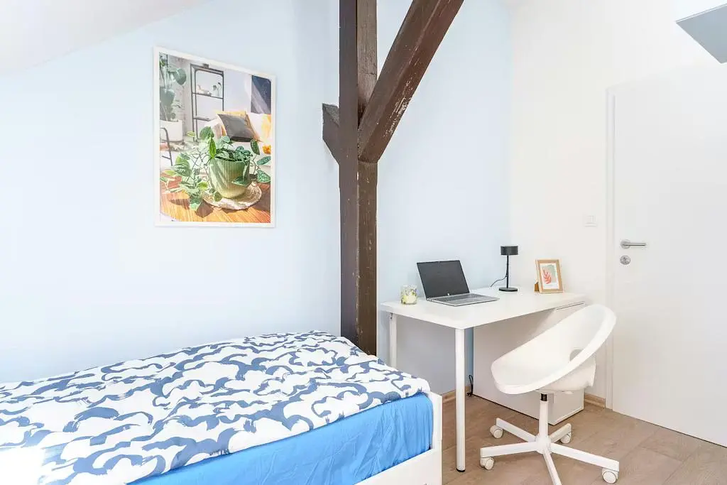 Küche; küchengeräte, holzboden, tageslicht, moderner stil