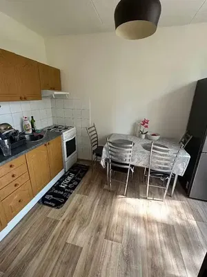 Kitchen; kitchen appliances, wood floor, natural light, modern style