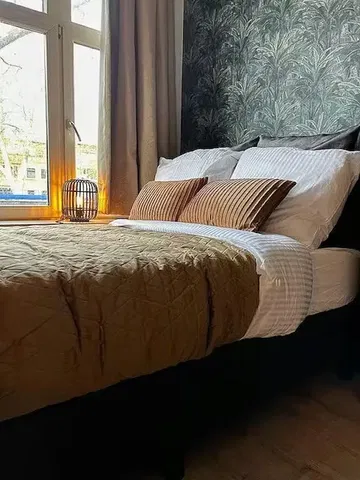 Kitchen; kitchen appliances, wood floor, natural light, modern style