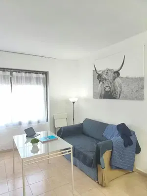 Cuisine; électroménager, parquet, lumière naturelle, style moderne