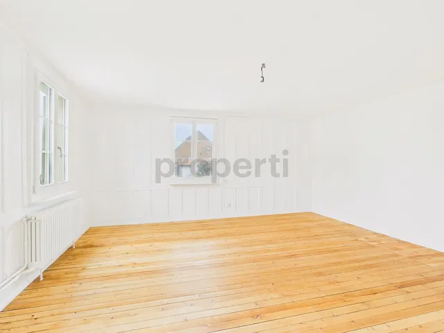 Kuhinja; kuhinjski aparati, drveni pod, prirodno svjetlo, moderni stil