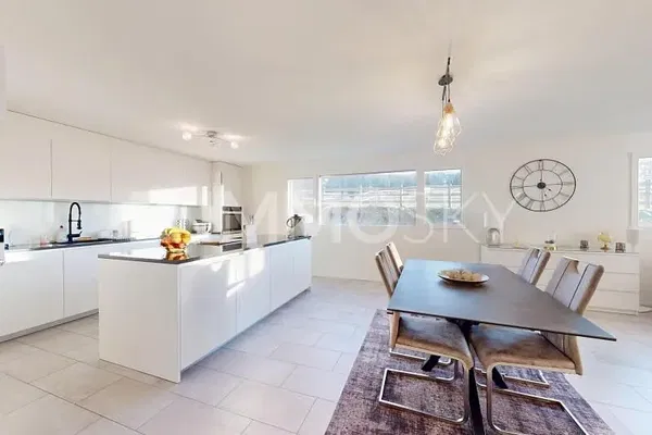 Kitchen; kitchen appliances, wood floor, natural light, modern style
