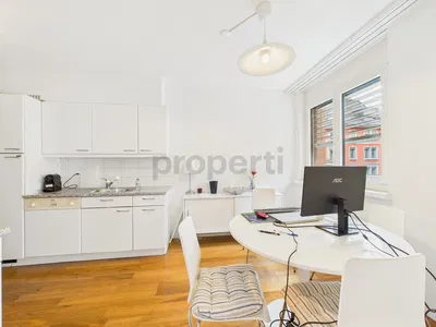 Kuhinja; kuhinjski aparati, drveni pod, prirodno svjetlo, moderni stil