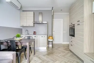 Kitchen; kitchen appliances, wood floor, natural light, modern style