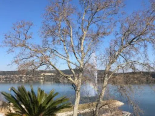 Küche; küchengeräte, holzboden, tageslicht, moderner stil