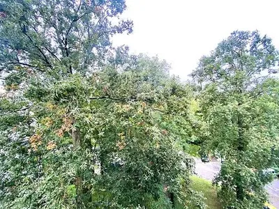 Kuchyně; kuchyňské spotřebiče, dřevěná podlaha, přirozené světlo, moderní styl