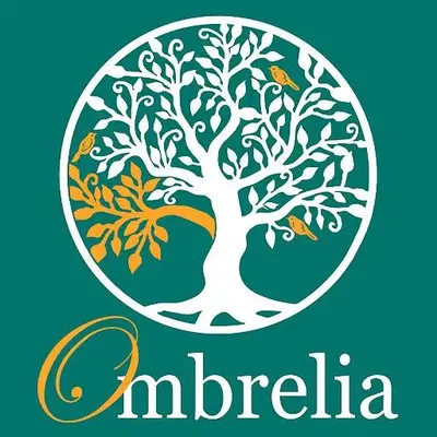 Kitchen; kitchen appliances, wood floor, natural light, modern style