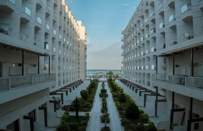 Küche; küchengeräte, holzboden, tageslicht, moderner stil