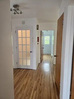 Mutfak; mutfak aletleri, ahşap zemin, doğal ışık, modern stil