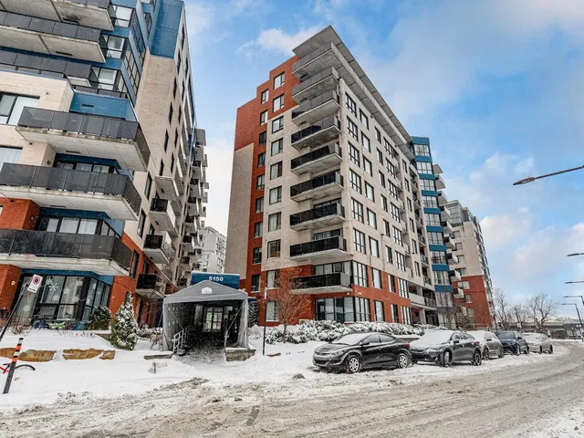 Kitchen; kitchen appliances, wood floor, natural light, modern style