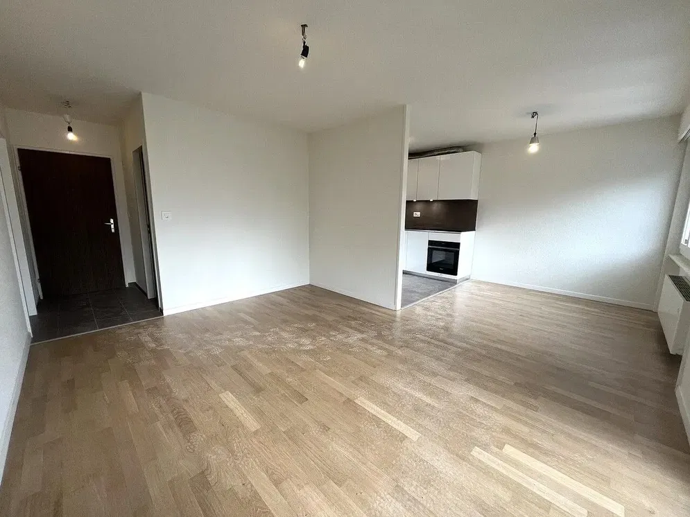 Kuhinja; kućanski aparati, drveni pod, prirodna svjetlost, moderan stil