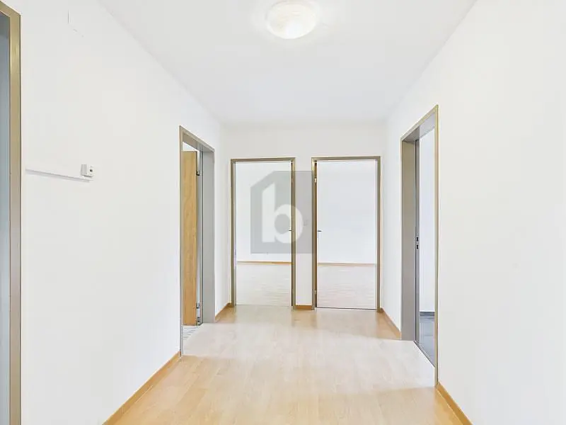 Cucina; elettrodomestici, pavimento in legno, luce naturale, stile moderno