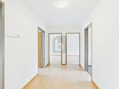 Cucina; elettrodomestici, pavimento in legno, luce naturale, stile moderno