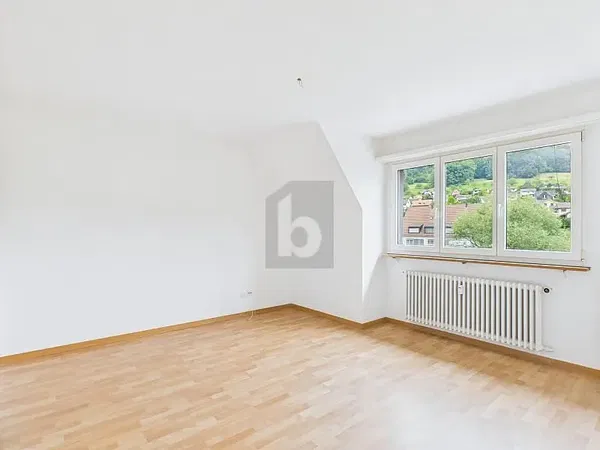 Kitchen; kitchen appliances, wood floor, natural light, modern style