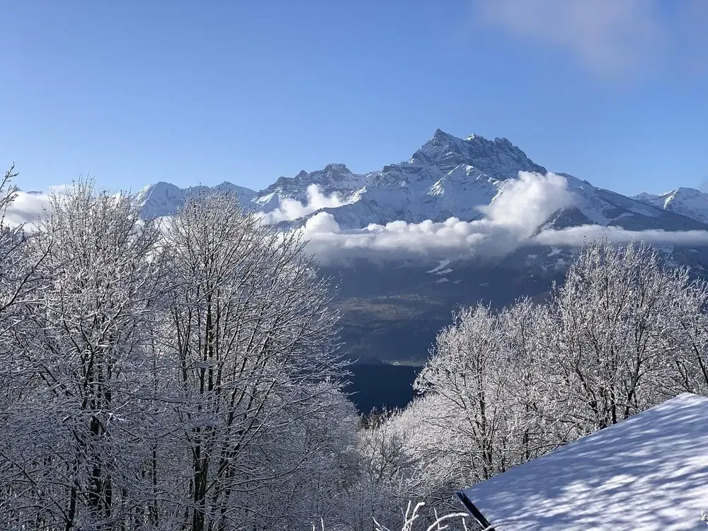 Kuhinja; kuhinjski aparati, drveni pod, prirodno svjetlo, moderni stil