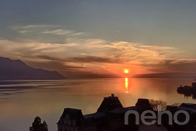 Kuhinja; kuhinjski aparati, drveni pod, prirodno svjetlo, moderni stil