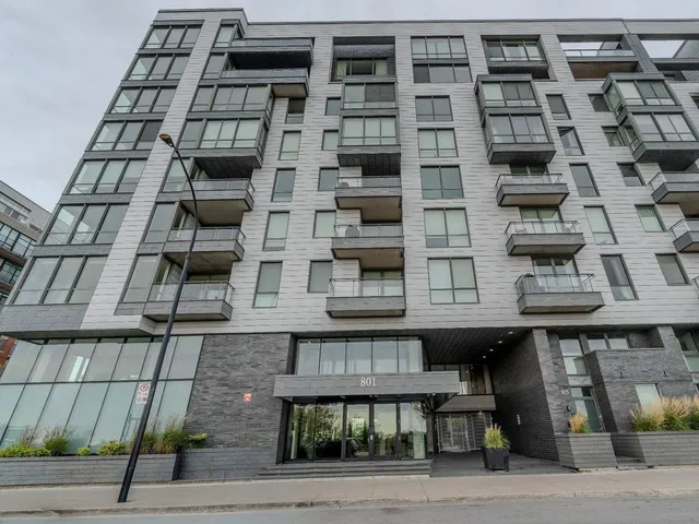 Kitchen; kitchen appliances, wood floor, natural light, modern style