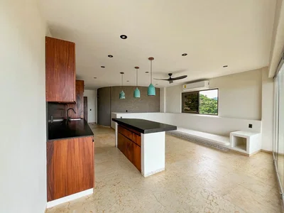 Cuisine; électroménager, parquet, lumière naturelle, style moderne