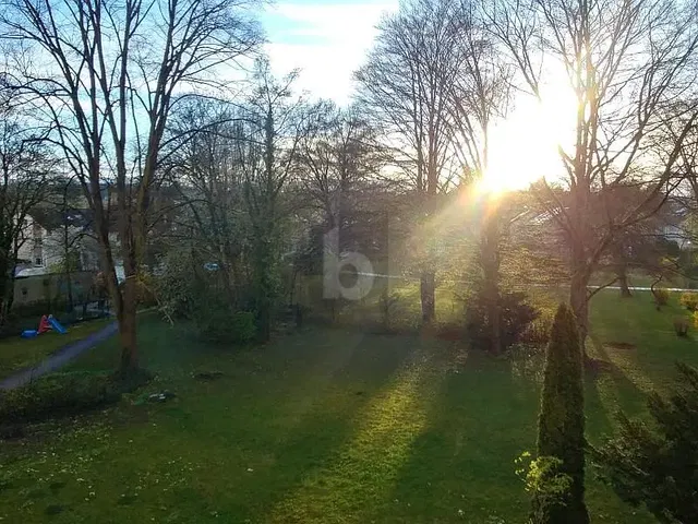 Kuchnia; sprzęt kuchenny, podłoga drewniana, światło dzienne, styl nowoczesny