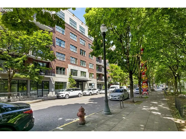 Küche; küchengeräte, holzboden, tageslicht, moderner stil