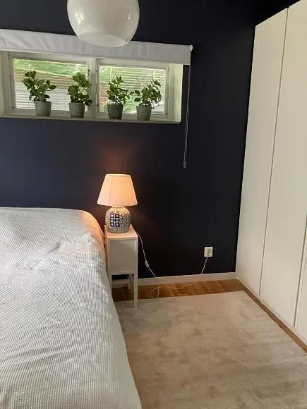 Küche; küchengeräte, holzboden, tageslicht, moderner stil