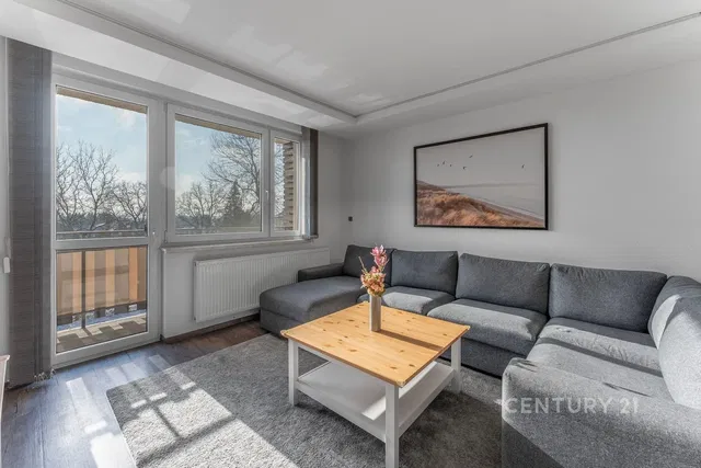 Living room; wood floor, natural light, modern style, high ceiling