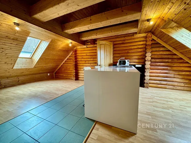Kitchen; kitchen appliances, wood floor, natural light, modern style