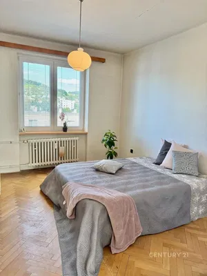Living room; wood floor, natural light, modern style