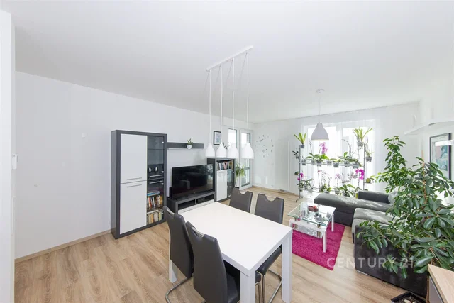 Keuken; keukenapparatuur, houten vloer, natuurlijk licht, moderne stijl