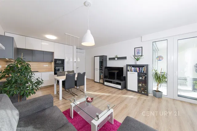 Kitchen; kitchen appliances, wood floor, natural light, modern style