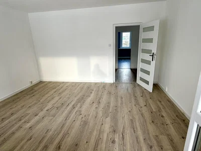 Küche; küchengeräte, holzboden, tageslicht, moderner stil