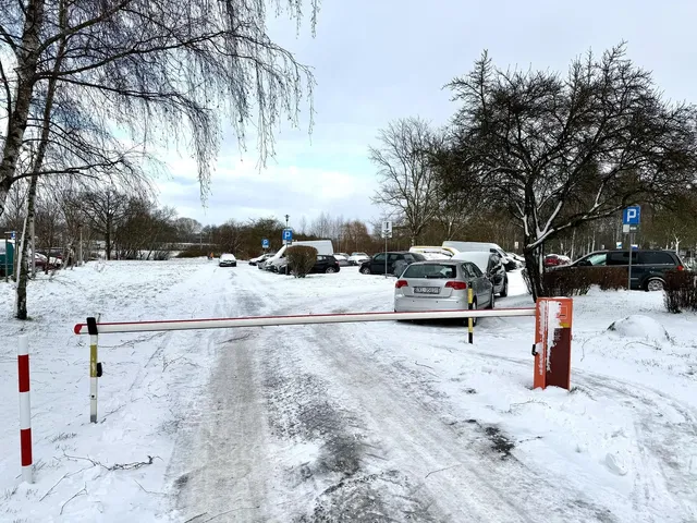 Küche; küchengeräte, holzboden, tageslicht, moderner stil