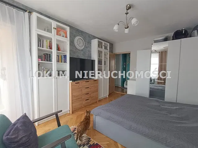 Küche; küchengeräte, holzboden, tageslicht, moderner stil