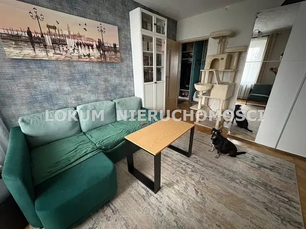 Кухиња; кухињски апарати, дрвени под, природно светло, модерни стил