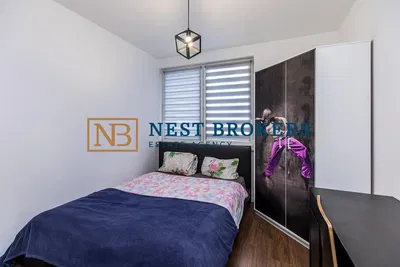 Кухня; кухненски уреди, дървен под, естествена светлина, модерен стил