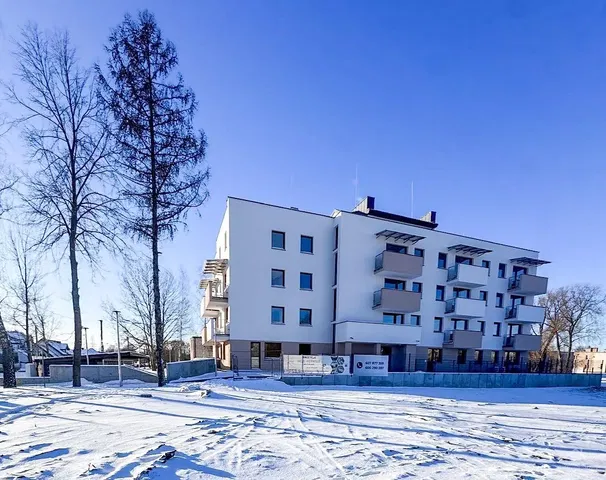 Küche; küchengeräte, holzboden, tageslicht, moderner stil