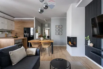 Kuchyně; kuchyňské spotřebiče, dřevěná podlaha, přirozené světlo, moderní styl