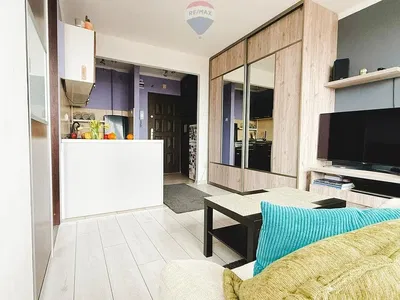 Kuchyně; kuchyňské spotřebiče, dřevěná podlaha, přirozené světlo, moderní styl