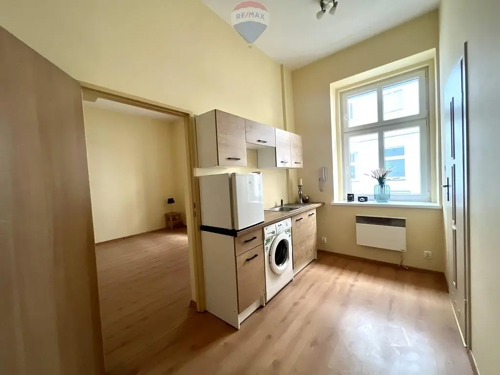 Kuchyně; kuchyňské spotřebiče, dřevěná podlaha, přirozené světlo, moderní styl