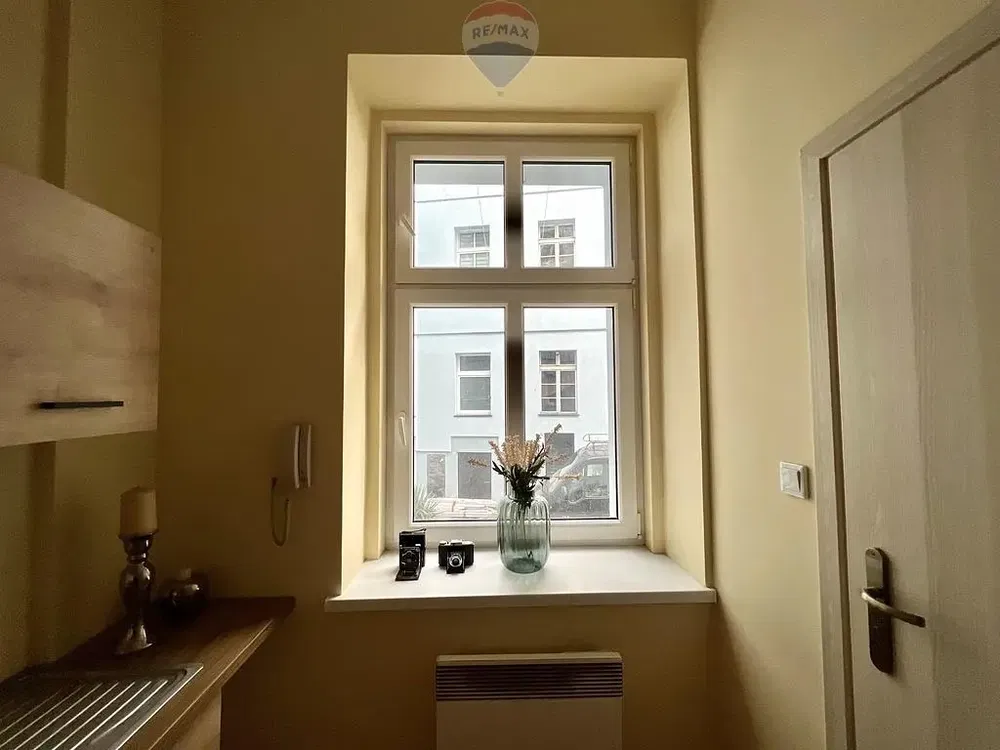 Kuchyně; kuchyňské spotřebiče, dřevěná podlaha, přirozené světlo, moderní styl