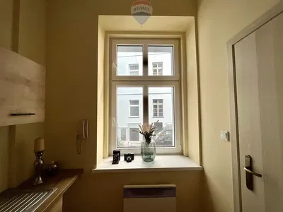 Kuchyně; kuchyňské spotřebiče, dřevěná podlaha, přirozené světlo, moderní styl