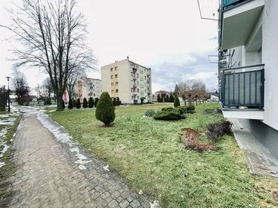 Küche; küchengeräte, holzboden, tageslicht, moderner stil