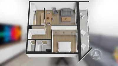 Living room; wood floor, natural light, modern style