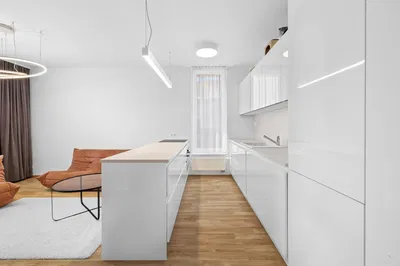 Kuchyňa; kuchynské spotrebiče, drevená podlaha, prirodzené svetlo, moderný štýl