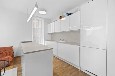 Kuchyňa; kuchynské spotrebiče, drevená podlaha, prirodzené svetlo, moderný štýl