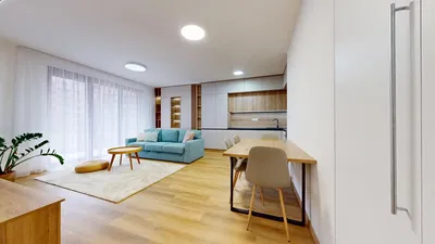 Living room; wood floor, natural light, modern style